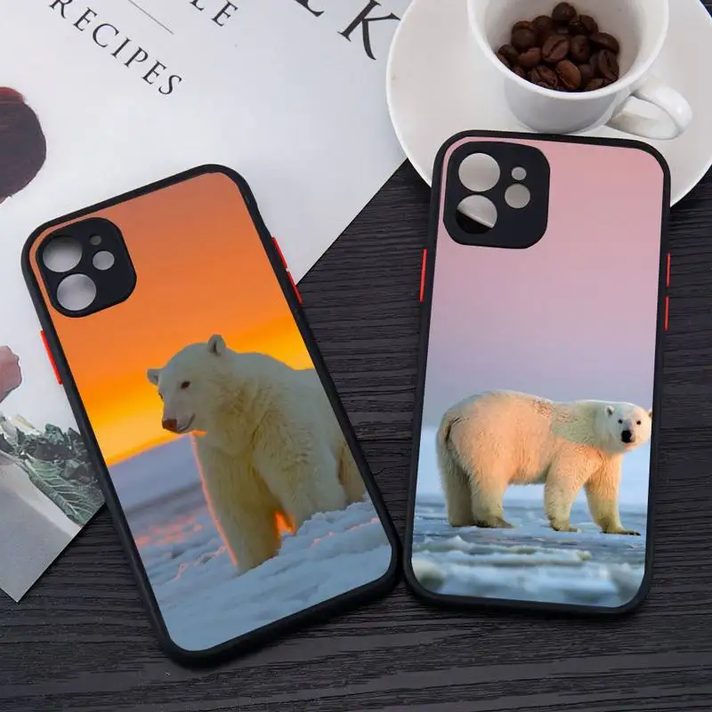 

Polar bear cute animal Phone Case matte transparent For iphone 7 8 11 12 13 plus mini x xs xr pro max cover