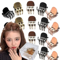 2pcs hair claw clips for women girls hiar accessories hairpins black brown transparent metal mini claws hairclip clamp gifts