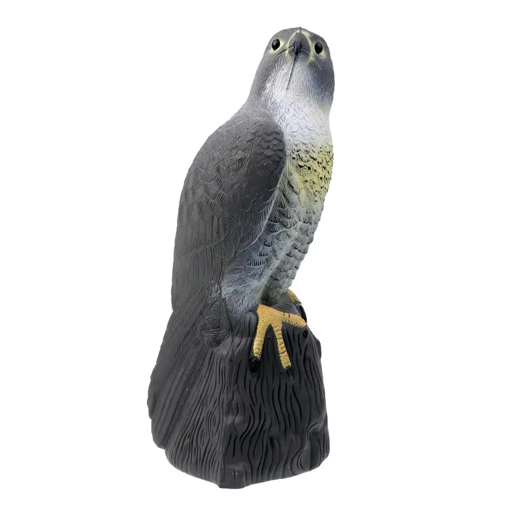 

Lightweight Lifelike Eagle Decoys Realistic Hawk Decoying Scarecrow Hunting
