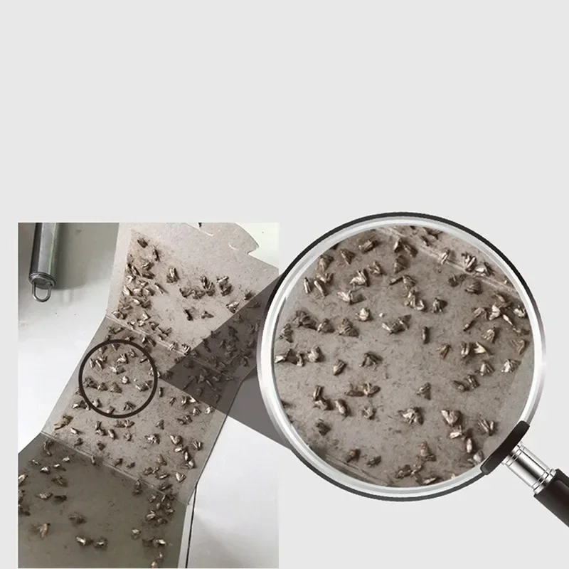 

2023 Sticky Family Restaurant Trap Insects Glue Pest 5pcs Pheromone Use Reject Killer Factory Pantry Fly Paste Trap Food Moth
