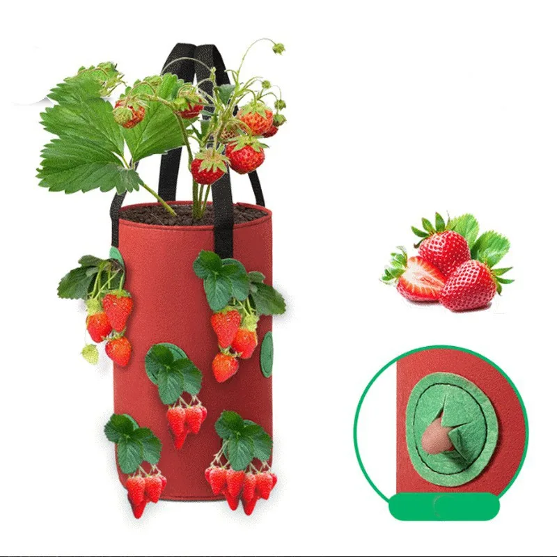 

3 Gal 12 holes Strawberry Grow Pot bags Plants Flower Tomato Growing Garden wall Hanging Vegetable Root Planting Reusable Her