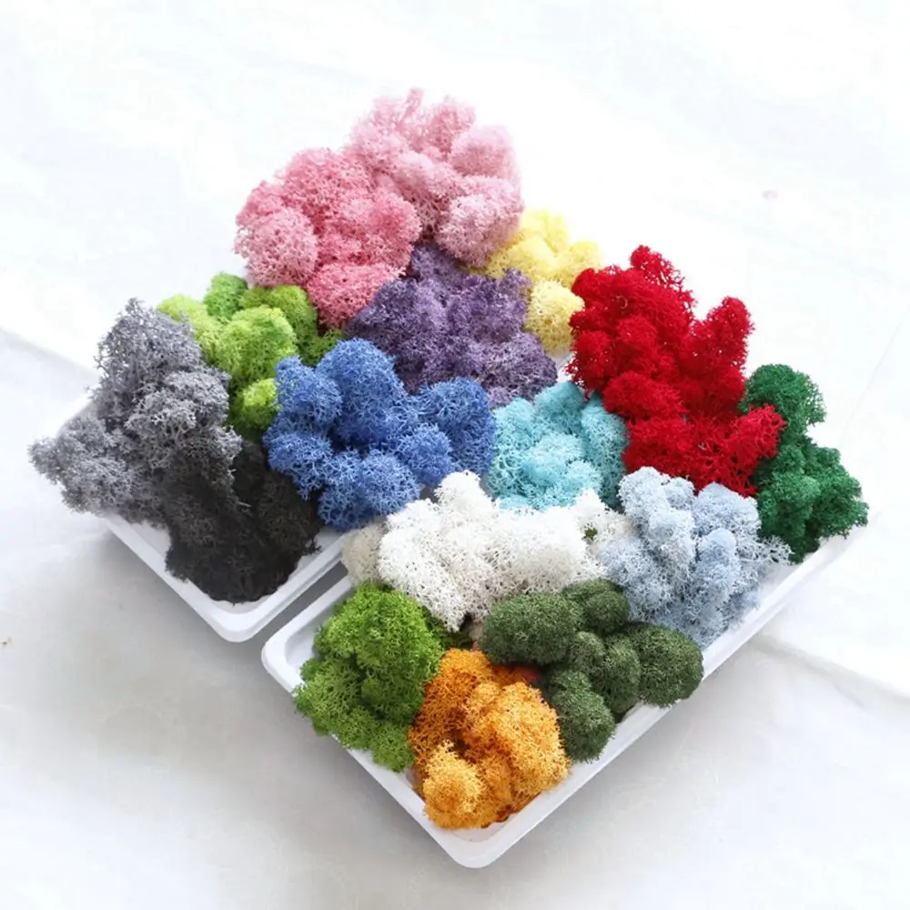 

20g Artificial Green Plants Eternal Life Moss Grass Home Living Room Garden Decoration Mini Landscape Fake Flower