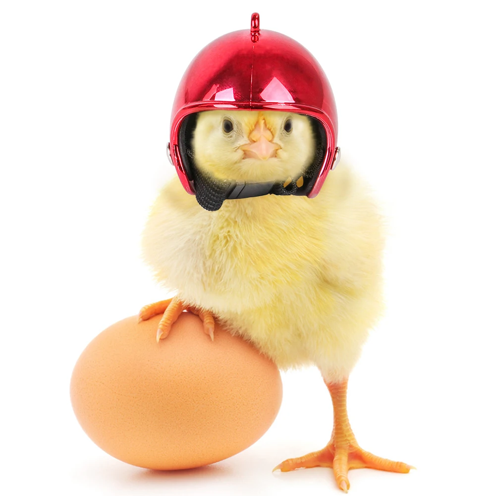 

Cute Chicken Helmet Small Pets Poultry Bird Duck Headgear Hat Caps Head Protector Bird Head Helmet Cool Pet Supplies New Arrival