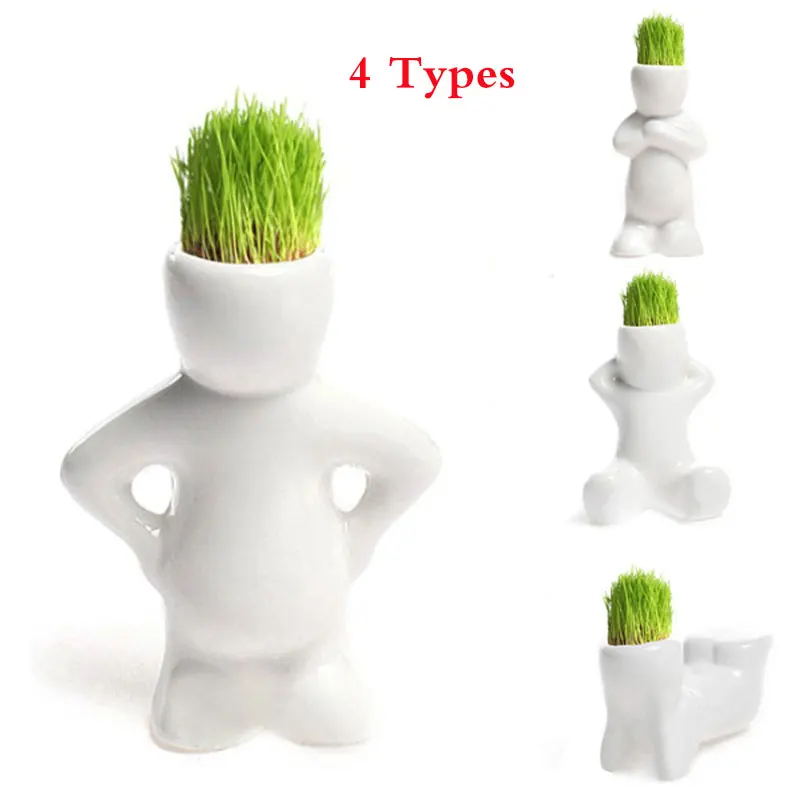 

4 Shape Choose DIY Mini Novel Bonsai Grass Doll Hair White Lazy Man Plant For Garden Planting Bonsais Gift Home Decoration
