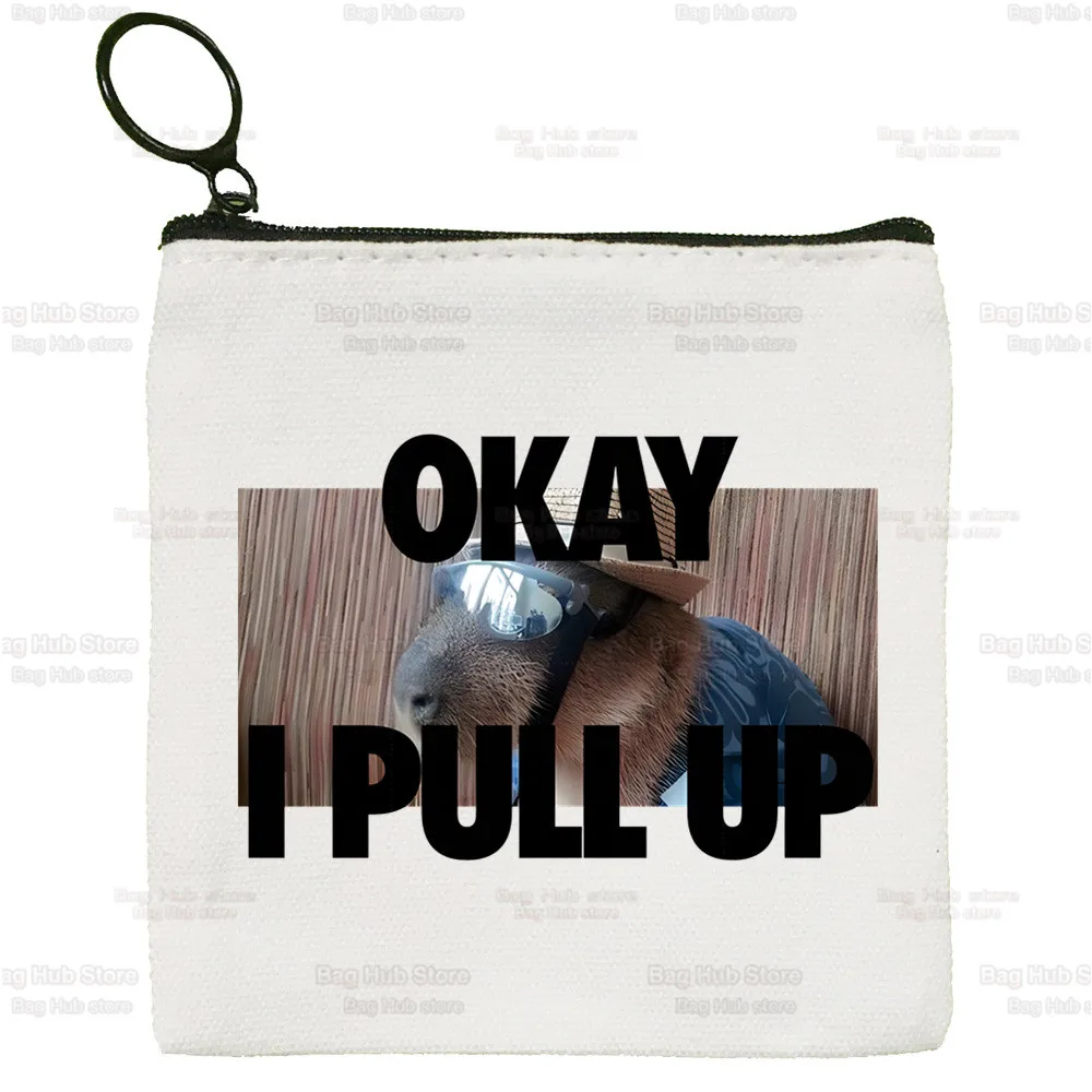 Capybara Funny Women's Bag Pure White Bag Animal Handmade Cloth Bag OK I Pull Up Coin Purse Whiteboard  Bag Handbag