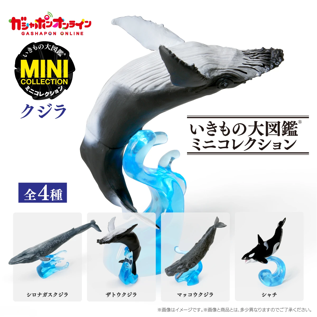 

Emulational Marine Organism Whale Model Gashapon Capsule Toy Ornaments Collectible Kids Birthday Gifts