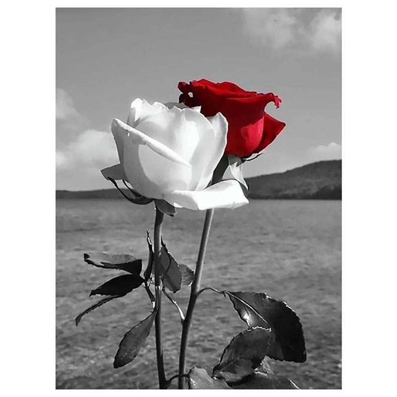 

Diamond Painting Full Circle Diamond Kit Rhinestone Picture Art Craft Home Door Decoration (Red And White Roses)