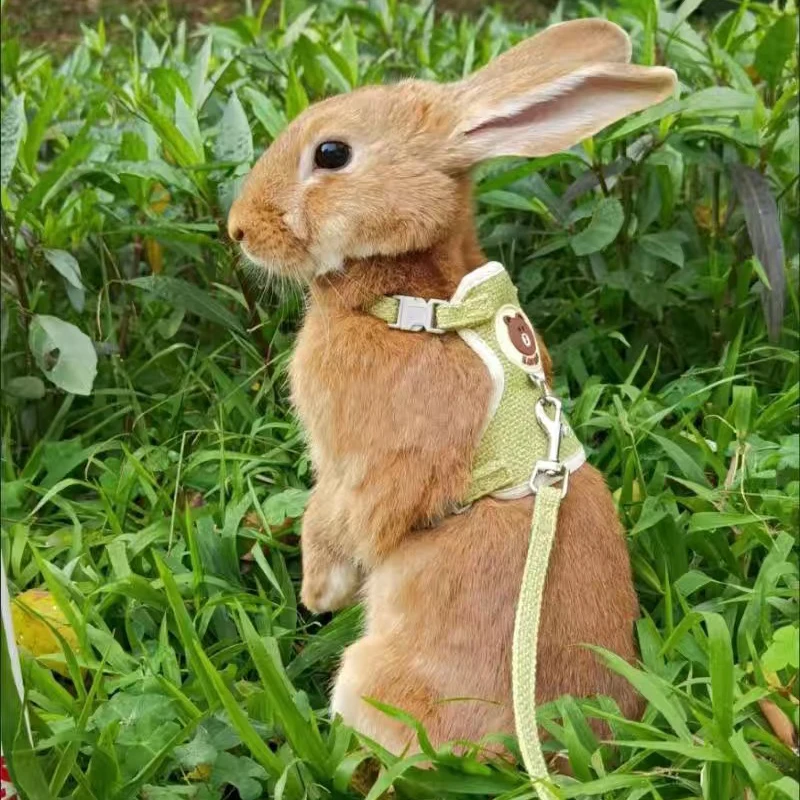 

2023NEW Cute Rabbit Harness and Leash Set Bunny Pet Accessories Vest Harnesses Rabbit Leashes for Outdoor Walking Pets Supplies