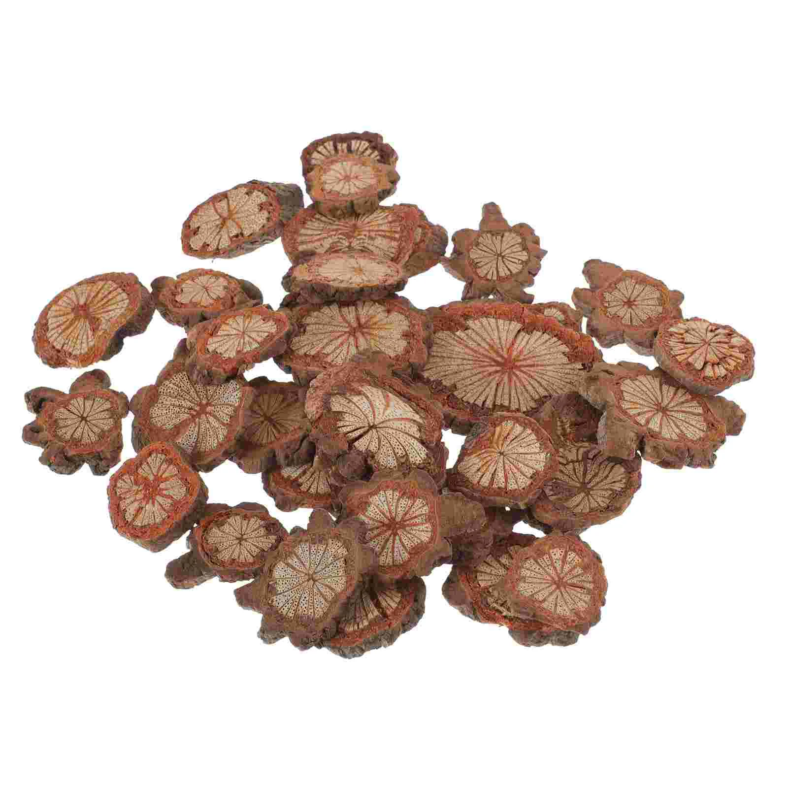 

Red Vine Wood Chips Wooden Kids Toy DIY Accessories Home Ornament Ornaments Natural Craft Idyllic