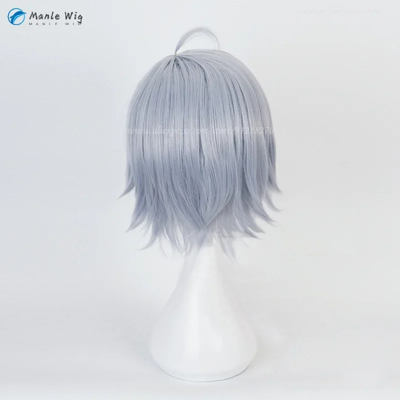 Аниме Серебряный Парик Для Косплея Короткие Серые Парики Термостойкие