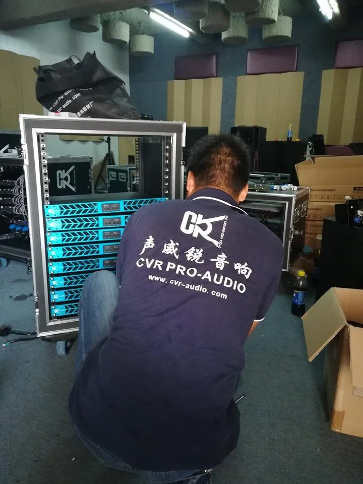 Рисунок 5 - Усилитель мощности CVR класса D