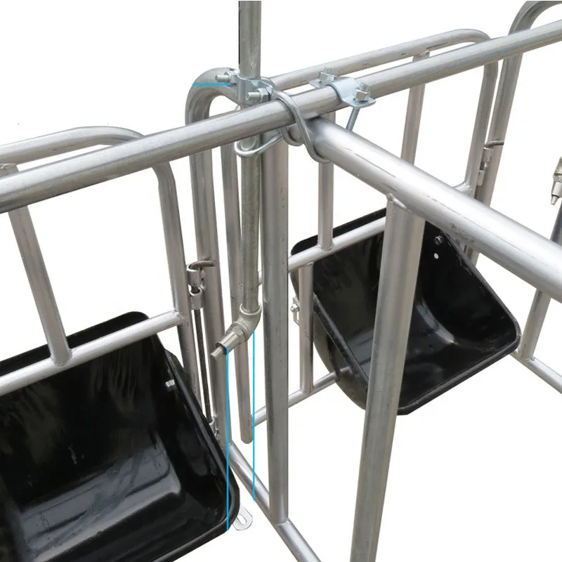 

Professional Service Nice Quality Pig Farm Equipment Positioning Pig Limit Column Pigs Gestation Crates