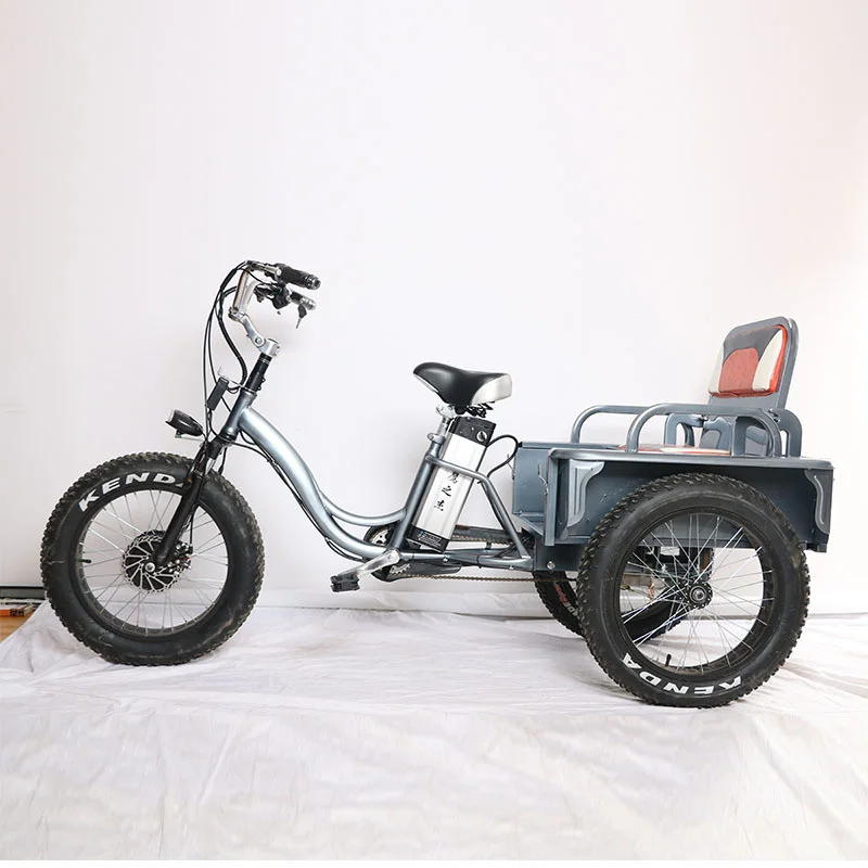 

Горячая Распродажа 20-дюймовый Снежный толстый электровелосипед, трехколесный велосипед 4,0, большой пляжный Электрический трицикл с задним сиденьем для пожилых людей