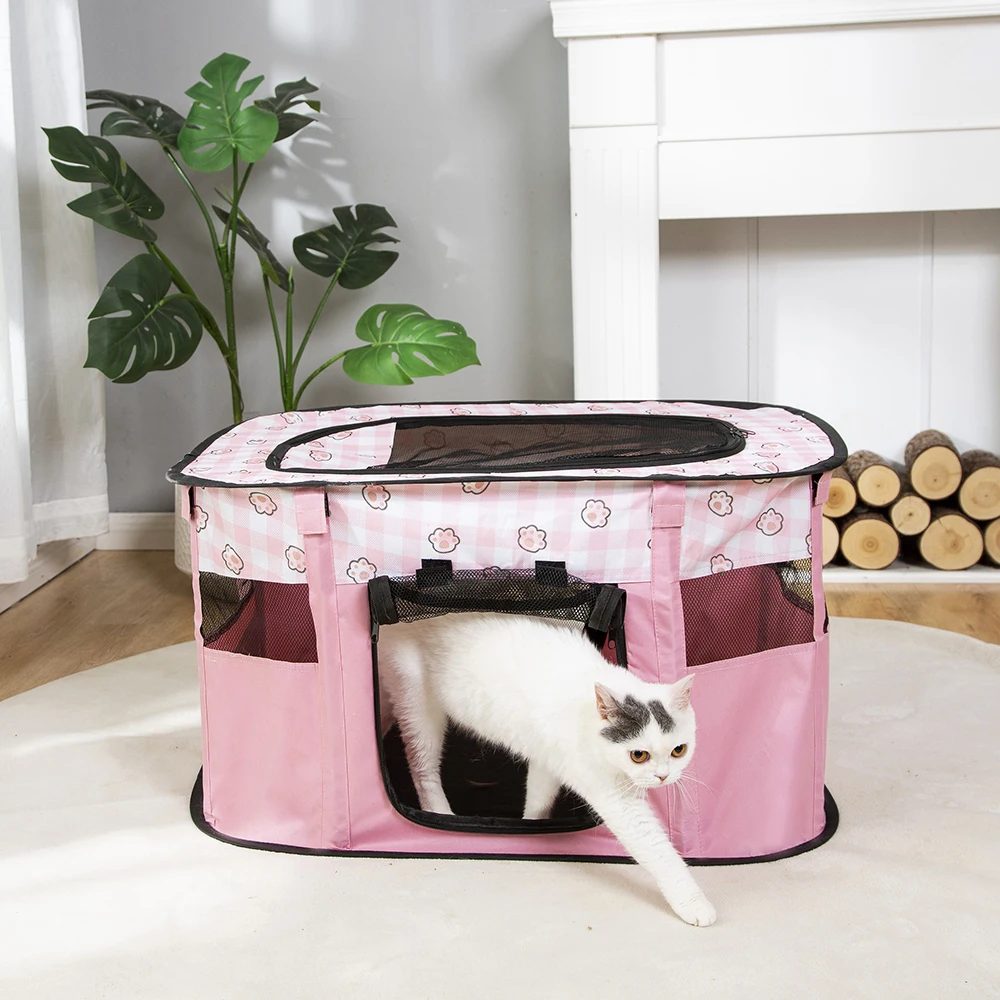 Складная комната для доставки кошек обеспечивает безопасное пространство мам и
