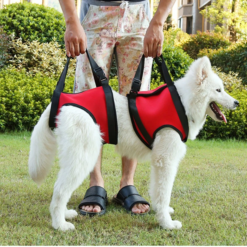 

1 set Pet Safe Care Lift Support Harness - Full Body Lifting Aid with Handle & Shoulder Strap