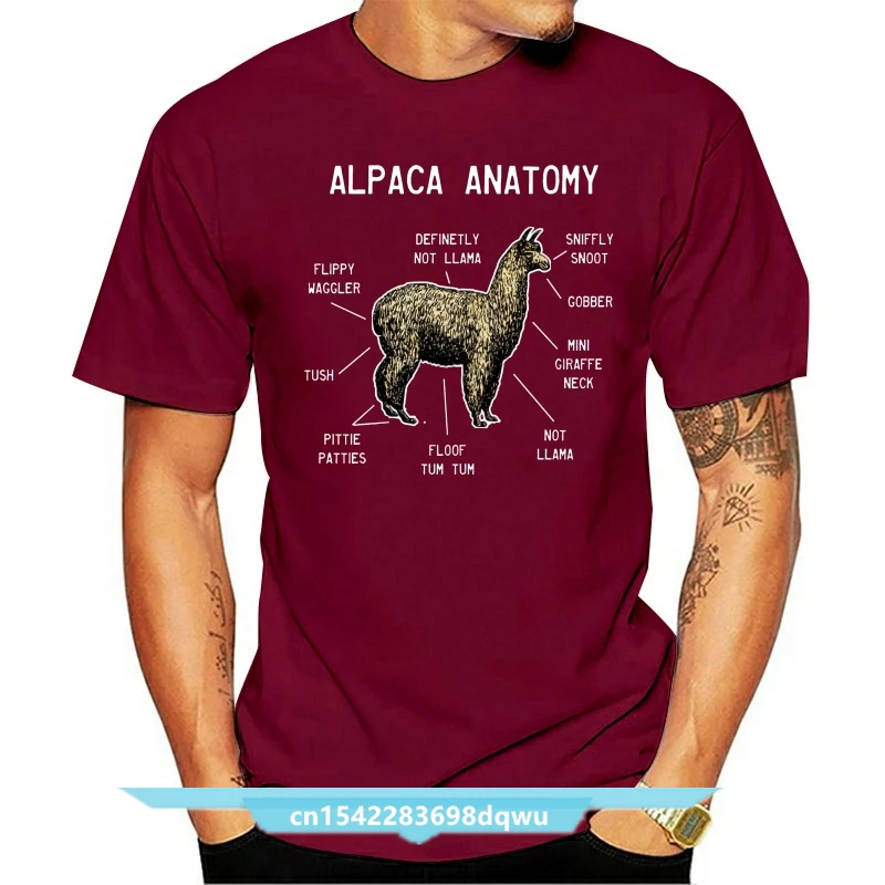 

2021 New Short Sleeve Casual Alpaca Anatomy Funny Animal Lover Pet Cute Shirt White Llama Summer Casual Man T Shirt Good Quality