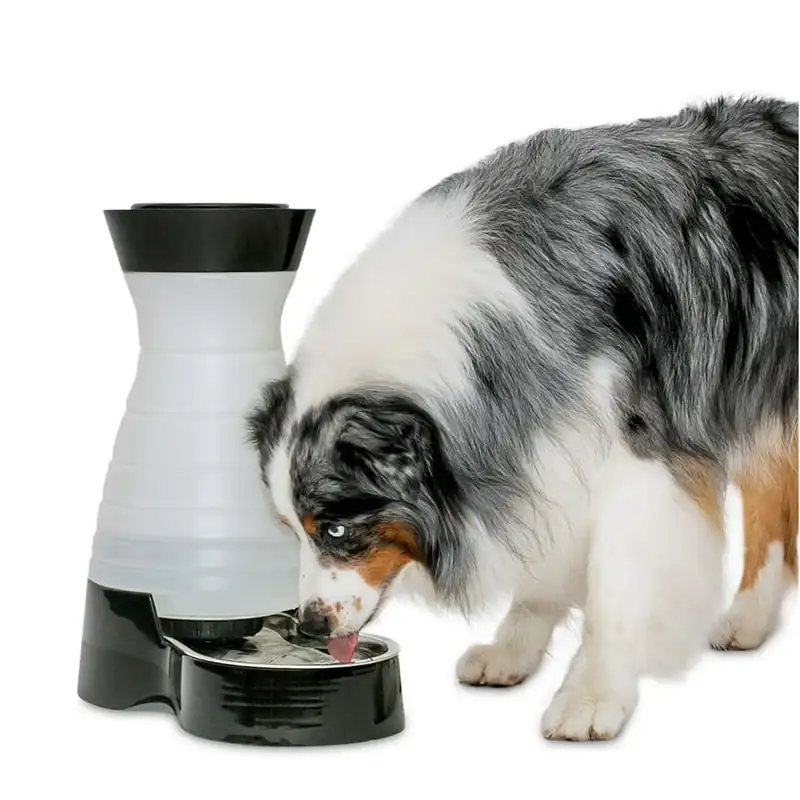 

Pet Water Station - 2 1/2 Gallon