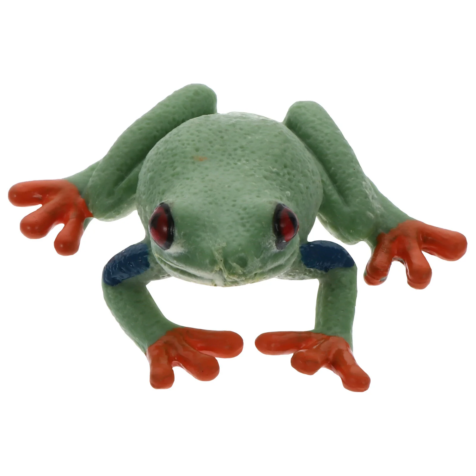 

Frog Model Plastic Kids Toy Educational Toys Animal Decoration Outdoor Lawn Decorations Mini Simulation Ornaments