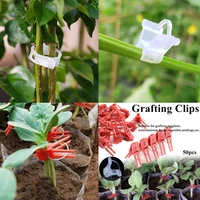 50pcs plastic grafting clips watermelon garden plant support vegetable flower vine stalks fix grow upright garden supplies
