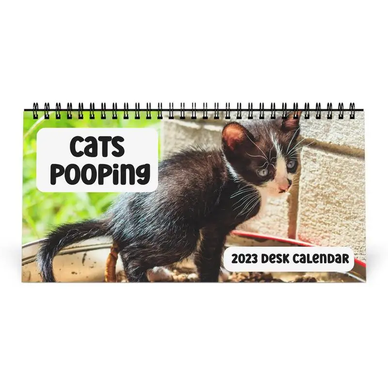 

Календарь на стену с забавной кошкой, календарь на стол с милыми кошками 2024, уникальный календарь, подарок для друзей, родственников, близких