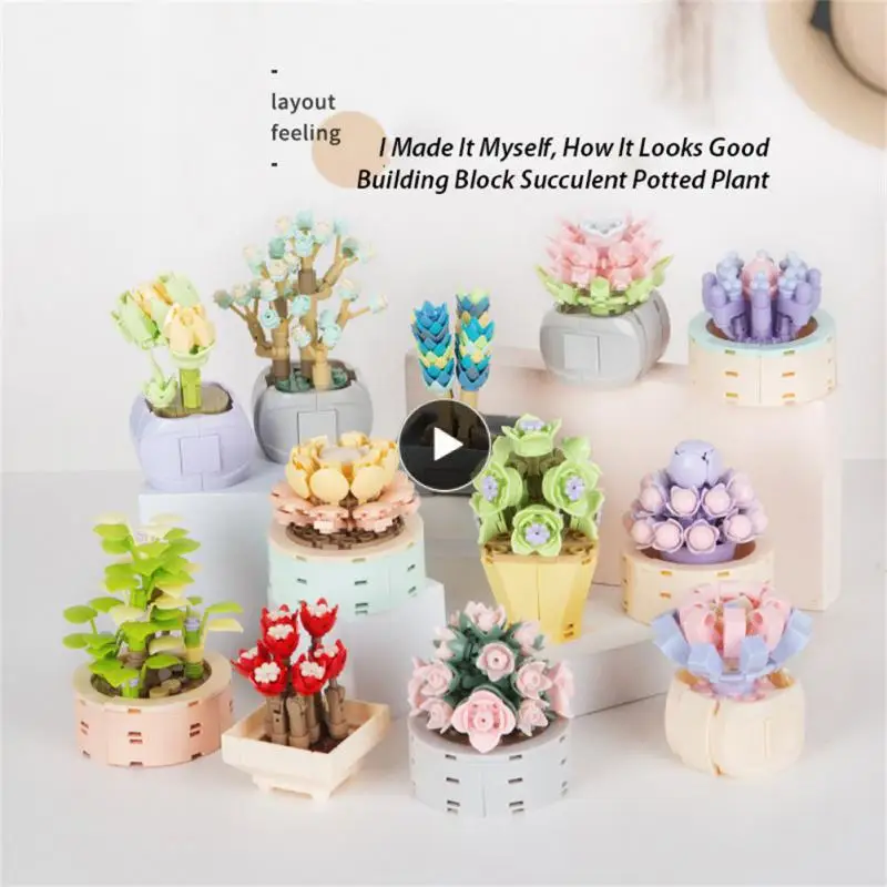 

Succulents Building Blocks Gypsophila 12 Styles Mini Bricks Model Bonsai Creative Plant Model Children Toys Classic Game Cactus