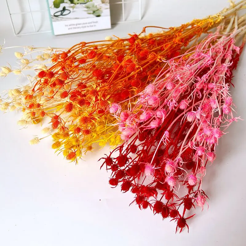 

Lover Fruit Dried Flower Living Room Decoration Wedding Decoration Bedroom Wall Artificial Plants Small Prickly Hemlock