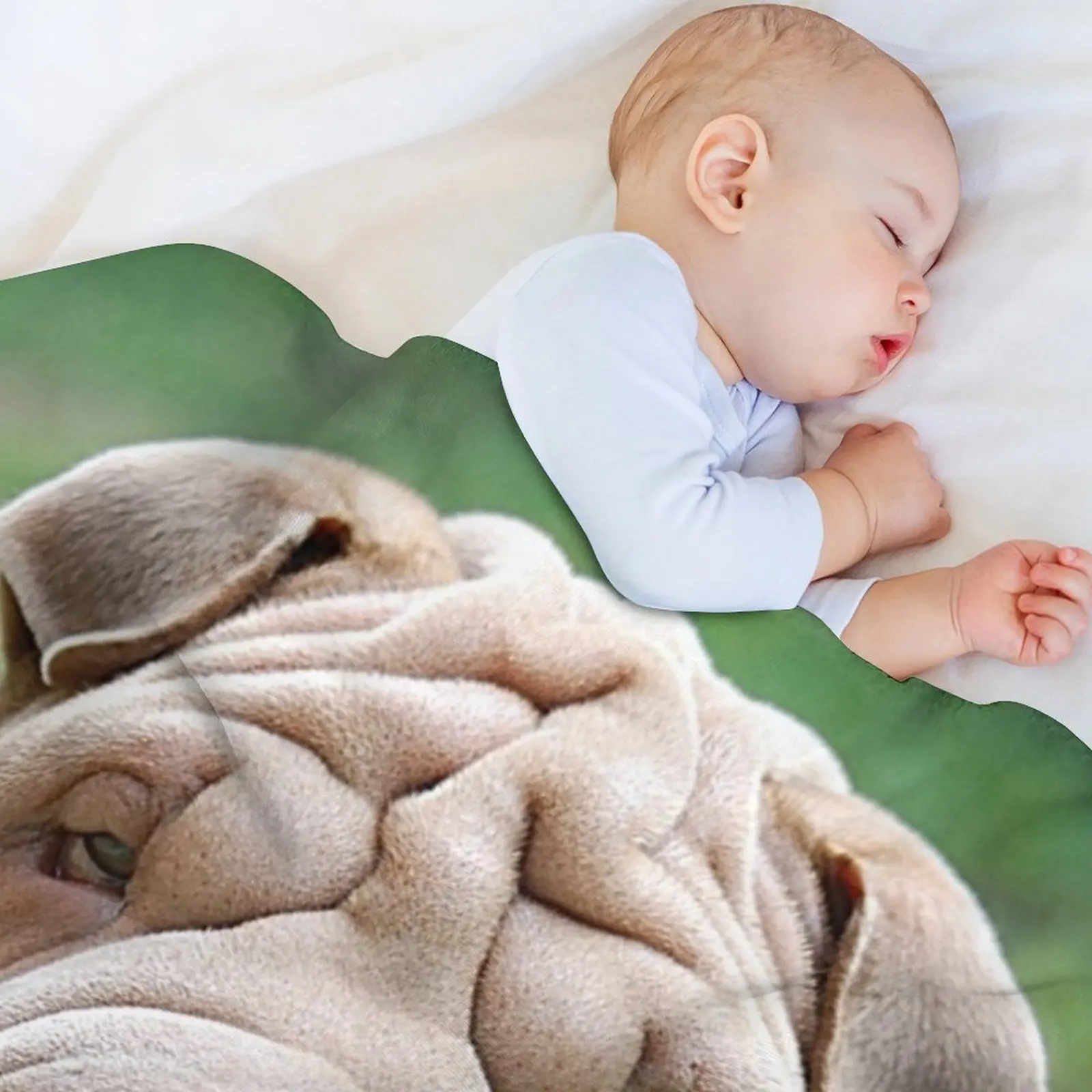 Фото Плед Shar-Pei, устойчивый к сминанию, легкий плед №3