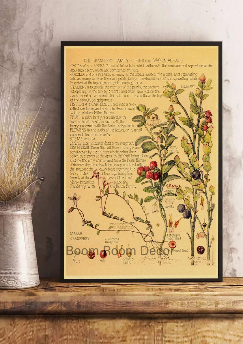 

Винтажный цветочный постер snapseed