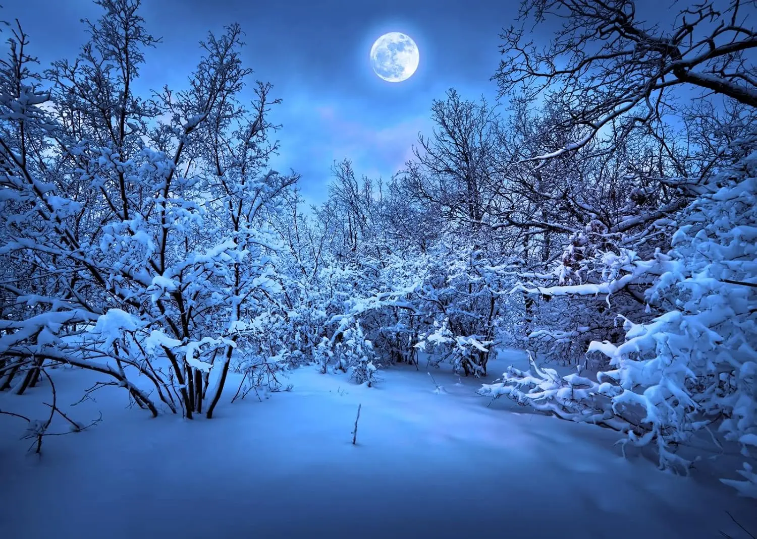 

Зимний снежный лес гобелен