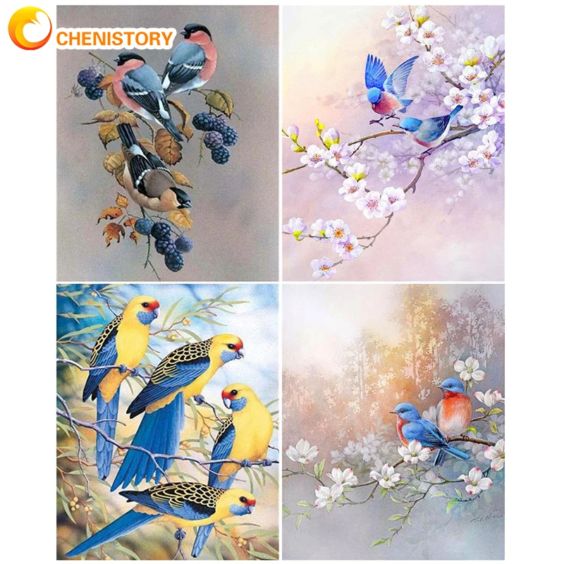 

SDOTYUNO Oil Pictures By Number Animal Birds Kit Coloring Drawing HandPainted With Frame Acrylic Paint Painting By Numbers Diy C