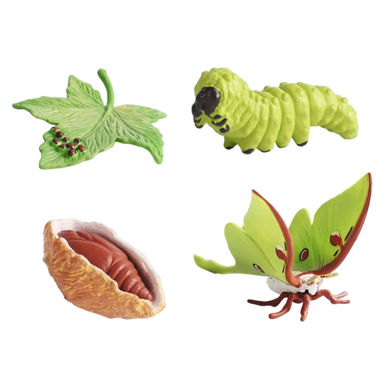 

Модель животного с жизненным циклом обучающая игрушка учебное пособие для детей