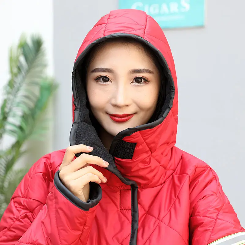 Рисунок 3 - Ветрозащитный щит для мотоцикла с зимним плюшем