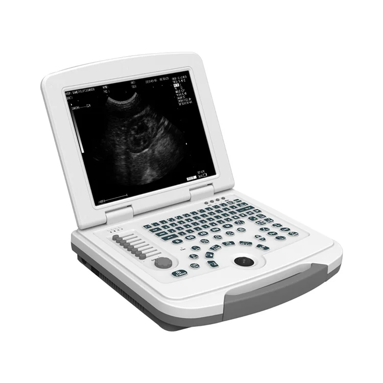 

RBMU12 VET portable BW veterinary ultrasound scanner for animals