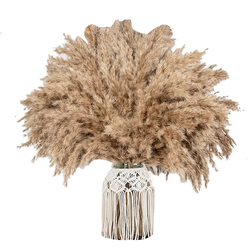 

Пушистая пампасная Трава Декор осенние сушеные цветы короткая помпа маленькие пампасы оптом 30 стеблей сухой помпон