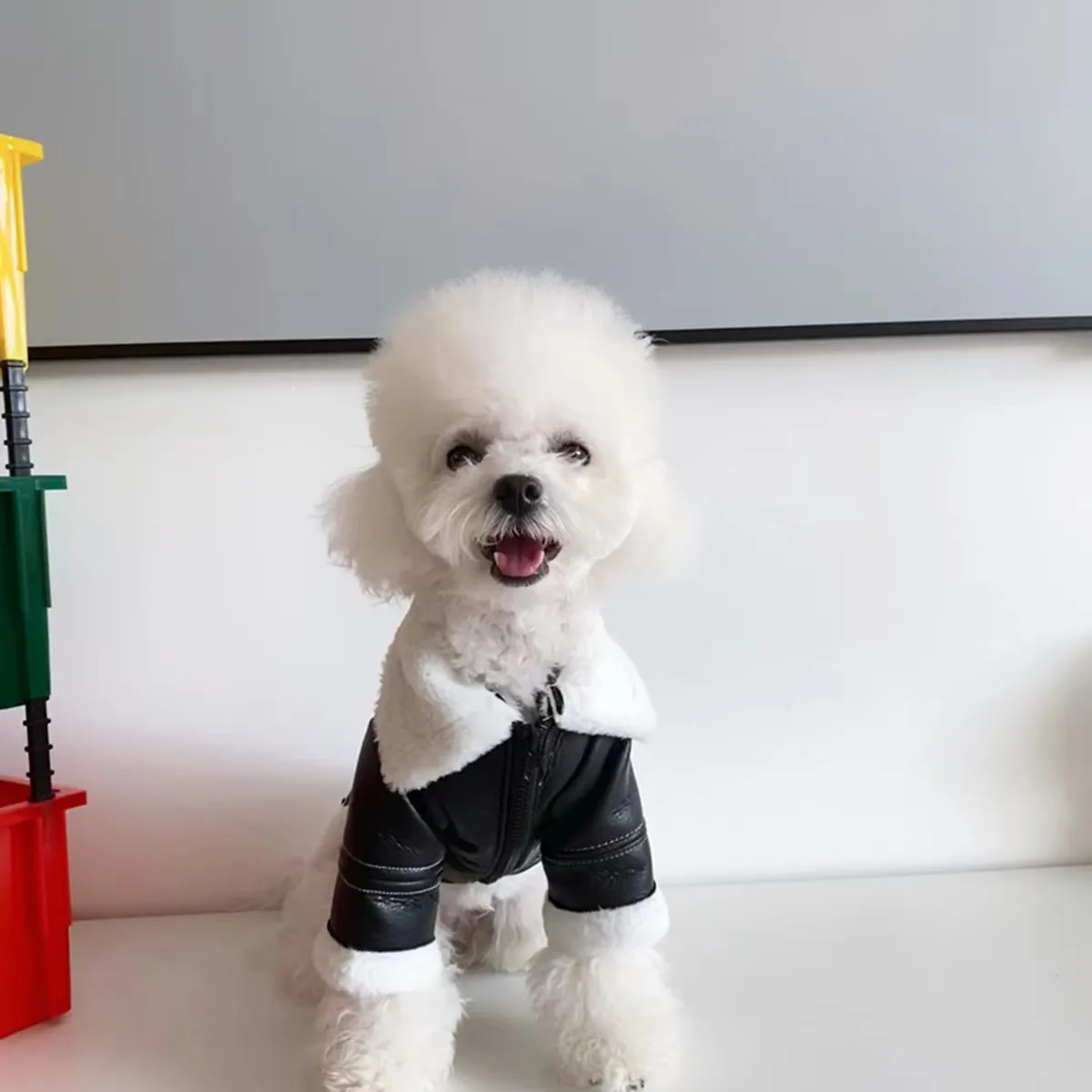 

Pet Clothes Winter Autumn Warm Jacket Small Dog Wool Fashion Sweater Puppy Cool Leather Coat Chihuahua Maltese Yorkshire Poodle