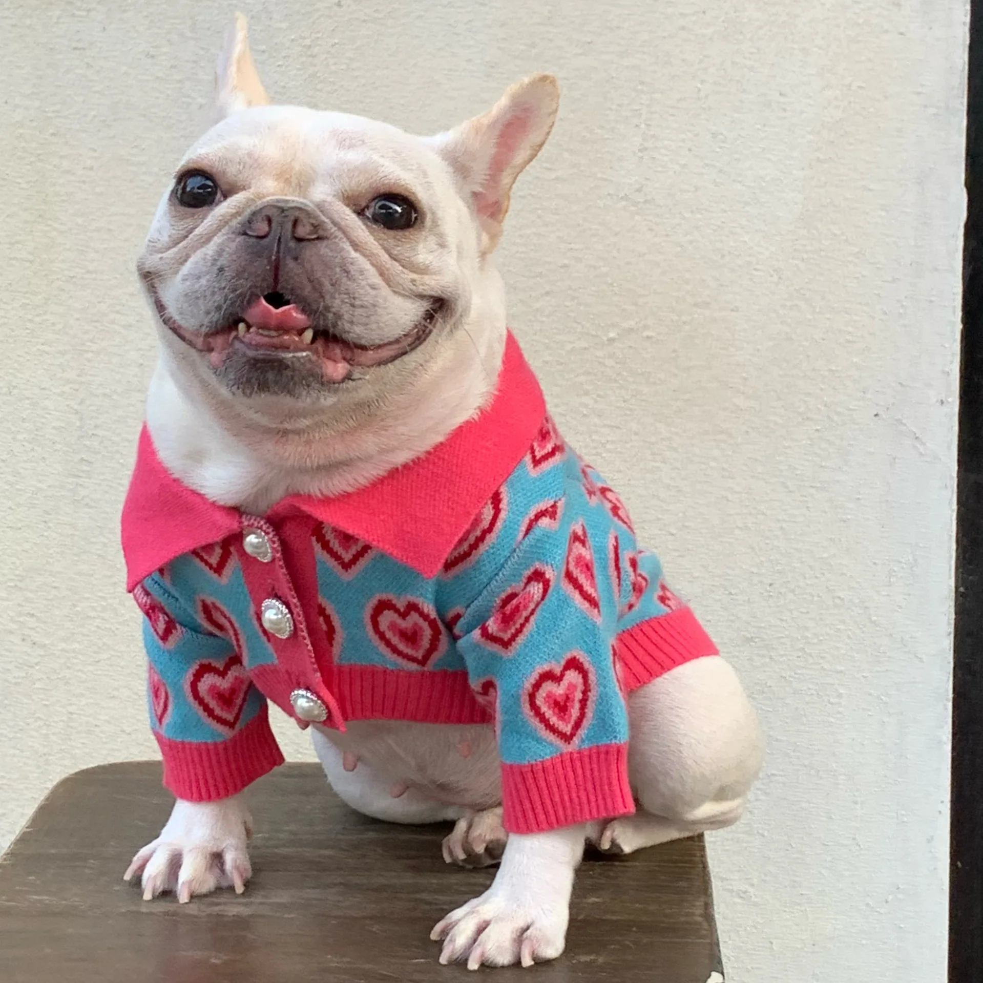 

Winter Pet Dog Clothes for Small Dogs Pets Clothing French Bulldog Heart Print Cotton Sweater for Yorkies S-2XL PC1788