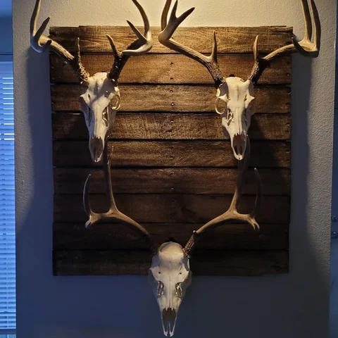 1/2/4/8 шт. крючок с черепом в виде животного, рога лося, настенный крючок, настенный крючок с черепом, настенная вешалка с изображением оленя, настенный кронштейн с черепом в помещении