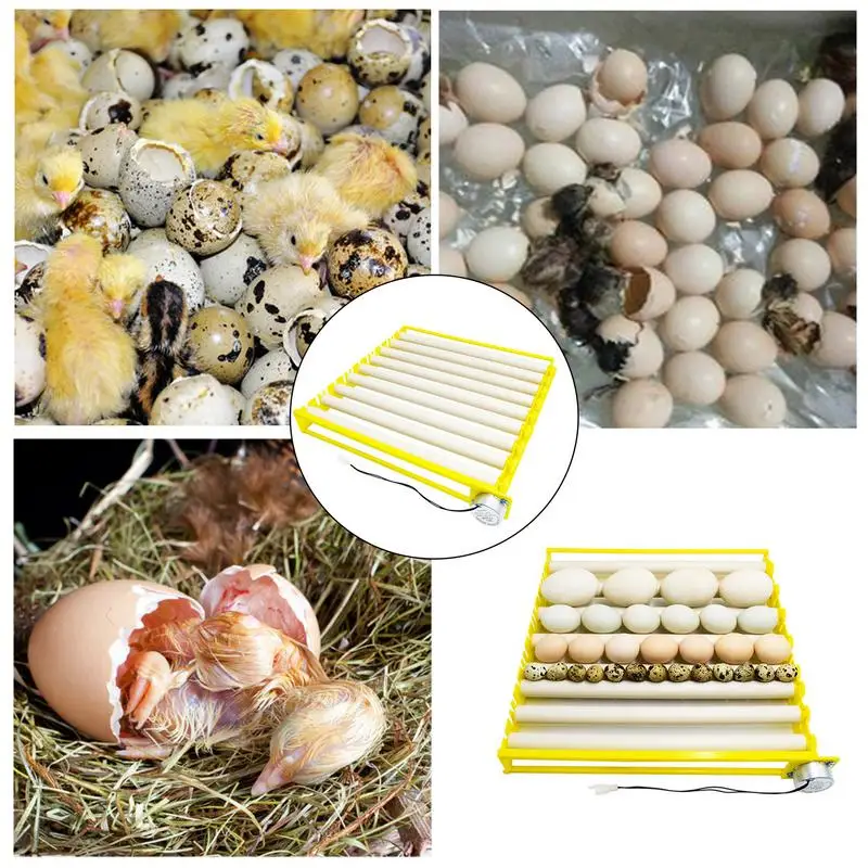 

Автоматический вращающийся лоток для яиц, регулируемый лоток для яиц, инструмент для выведения, инкубационный аксессуар, лоток для вращения
