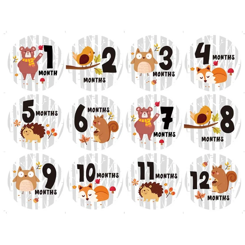 

Baby Pregnant Women Monthly Photograph Sticker Growth Tracking Stickers Fun Month 1-12 Milestone Stickers