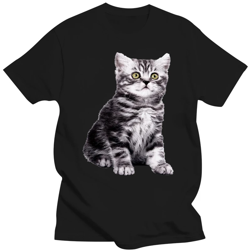 

Lost Gods Halloween Witch Kitten Juniors Graphic T Shirt