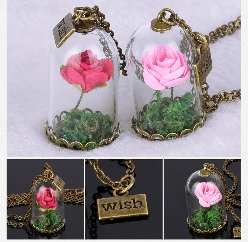 Beauty and The Beast Retro Glass Vial Necklace Butterfly Wish Accessories Necklace Red Rose Dried Flower Jewelry for Women Girls