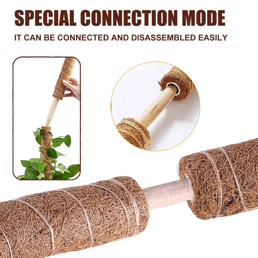 

Coconut Palm Plants Growing Support Pole Green Leaf Stake Stable Tough Stick Labels Clips Gardening Supplies Inside Yard