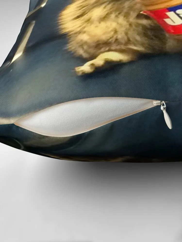 Декоративная подушка с рисунком енота рождественские Подушки Осеннее украшение