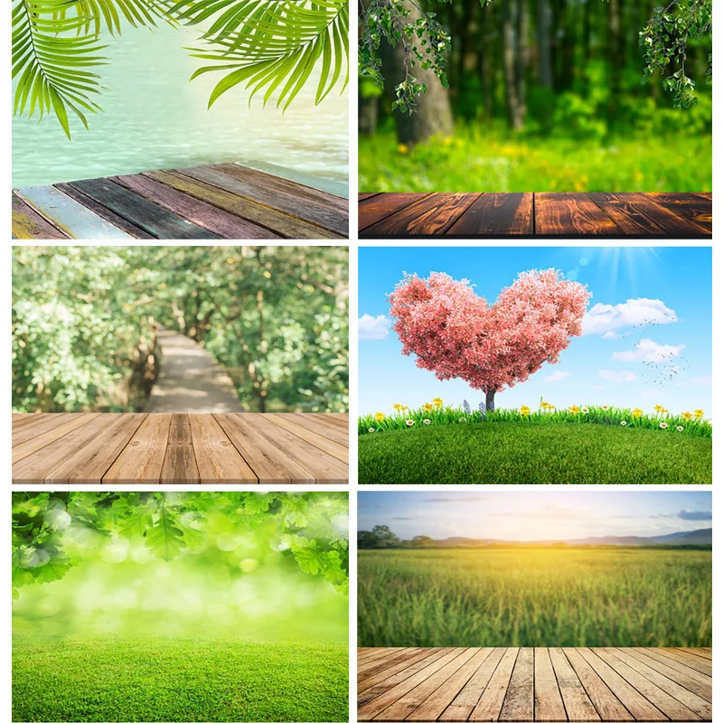 

Natural Scenery And Planks Photography Background Spring Landscape Travel Photo Backdrops Studio Props 22918 FJ-04