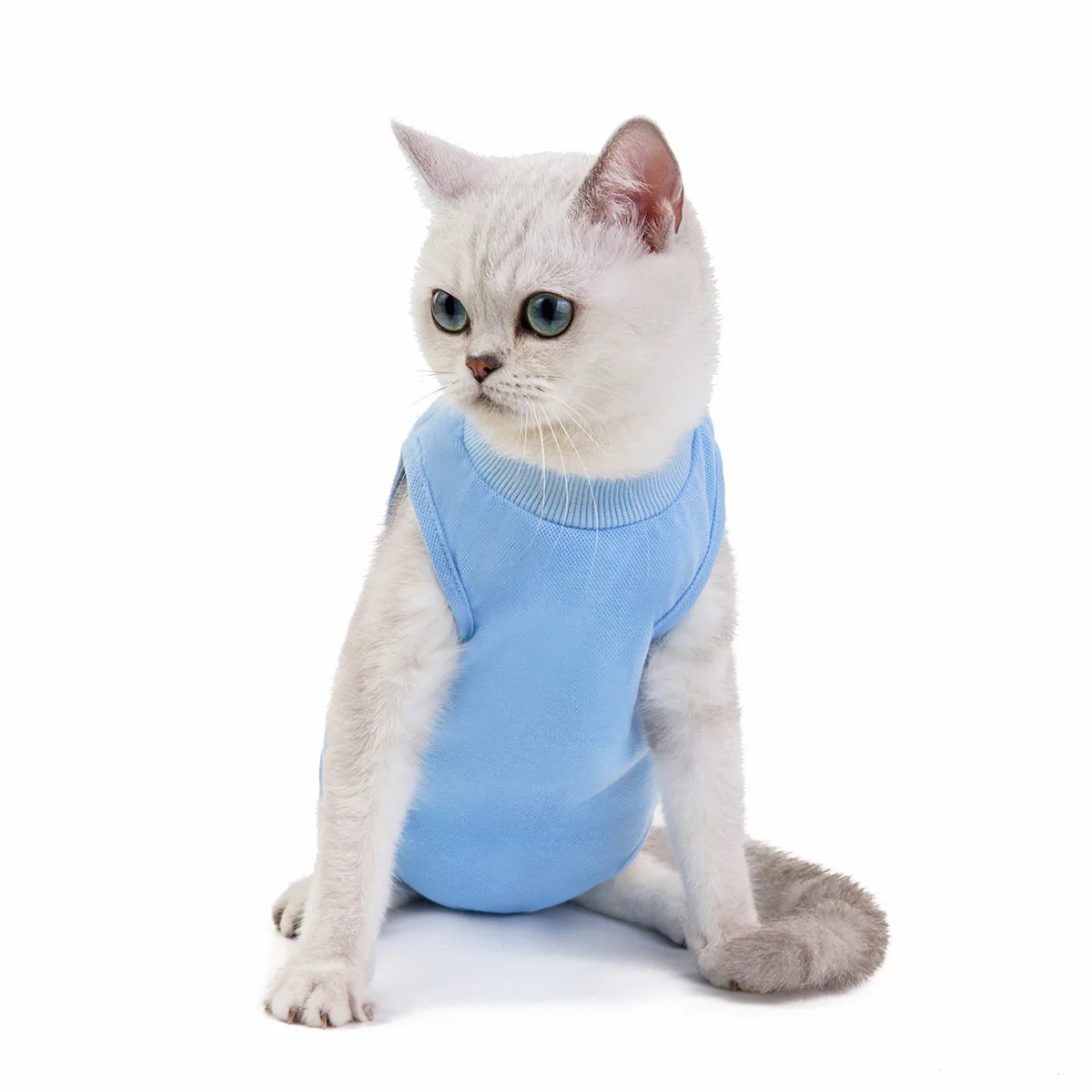 

Print Soild Colour Cat Coats Puppy Pet Cat Clothes Keep Pets From Shedding Sphynx Cat Clothes Spring and Summer Pet Coats