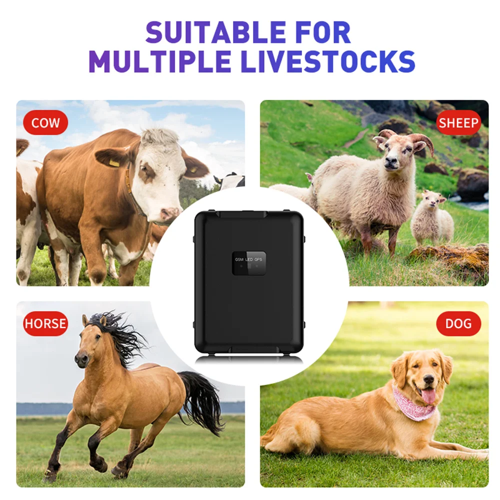 

Long Standby Time 4g GPS Tracker RF-V55 Magnet gps tracking device Sheep Cow Cattle Horse Solar Power Strong Locator 20000mAh