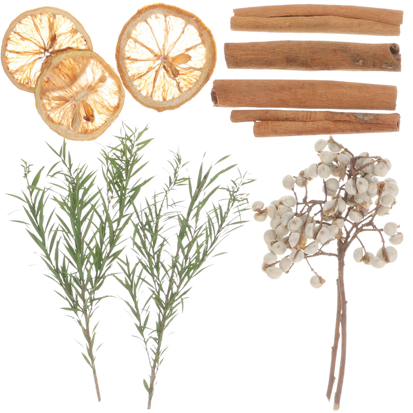 

1 Box Of Dried Flowers Home Decor Decorative Decorative Bowl Fillers DIY Specimen DIY Materials
