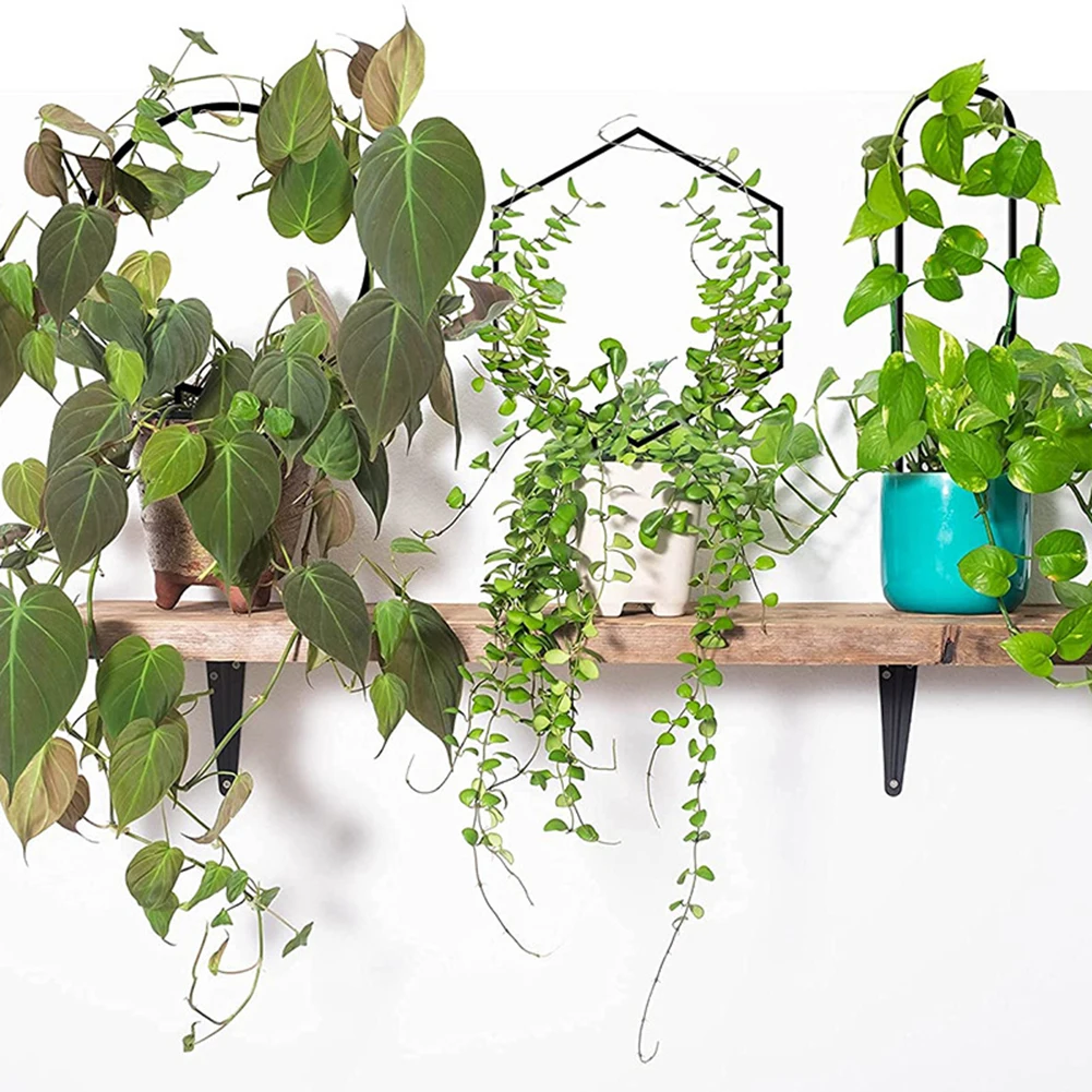 

Round Hexagonal Shaped Garden Plant Support Stake Stand Vine Climbing Rack Flower Plant Trellis Support Frame