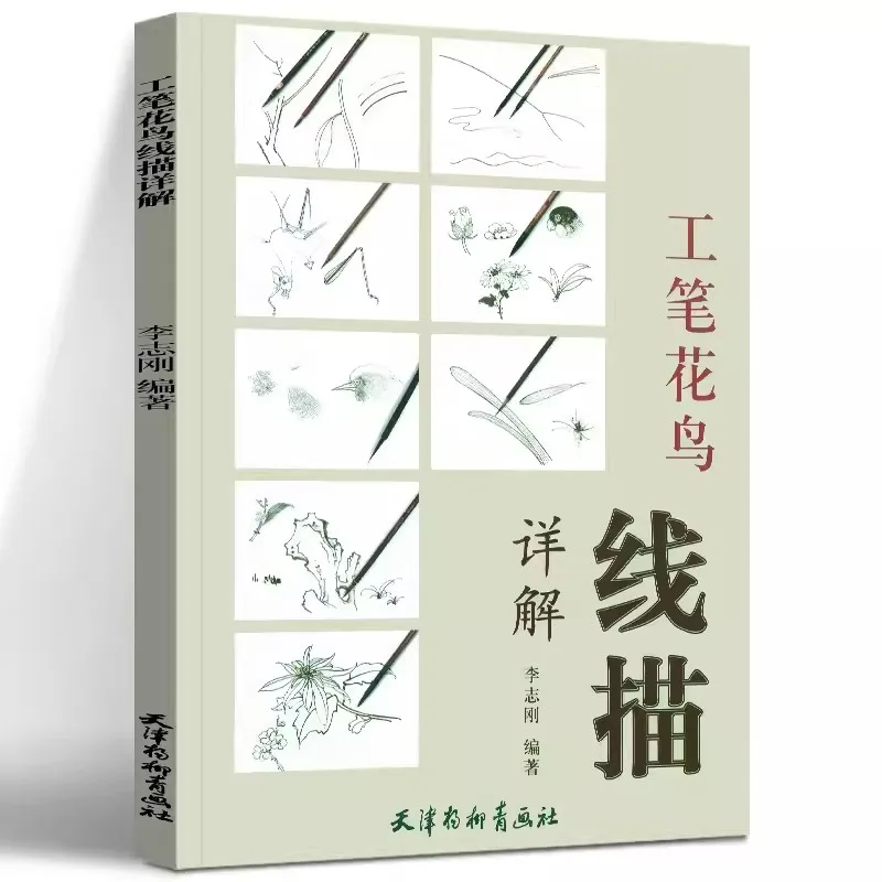 

Подробное объяснение строгих цветов и птиц, искусство книги для начинающих