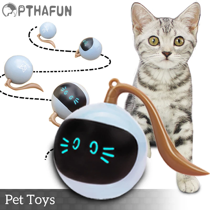 Котята крутятся. Максвелл cat. Кот крутится. Кот крутится на пластинке. Крутящаяся кот иллюзия.